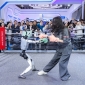 最新攻略：AI数字化解决方案企业怎样亮相深圳高交会？